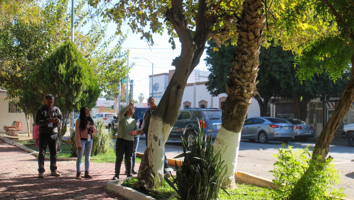 Revisan el Parque Morelos de Gómez Palacio. | Rolando Riestra