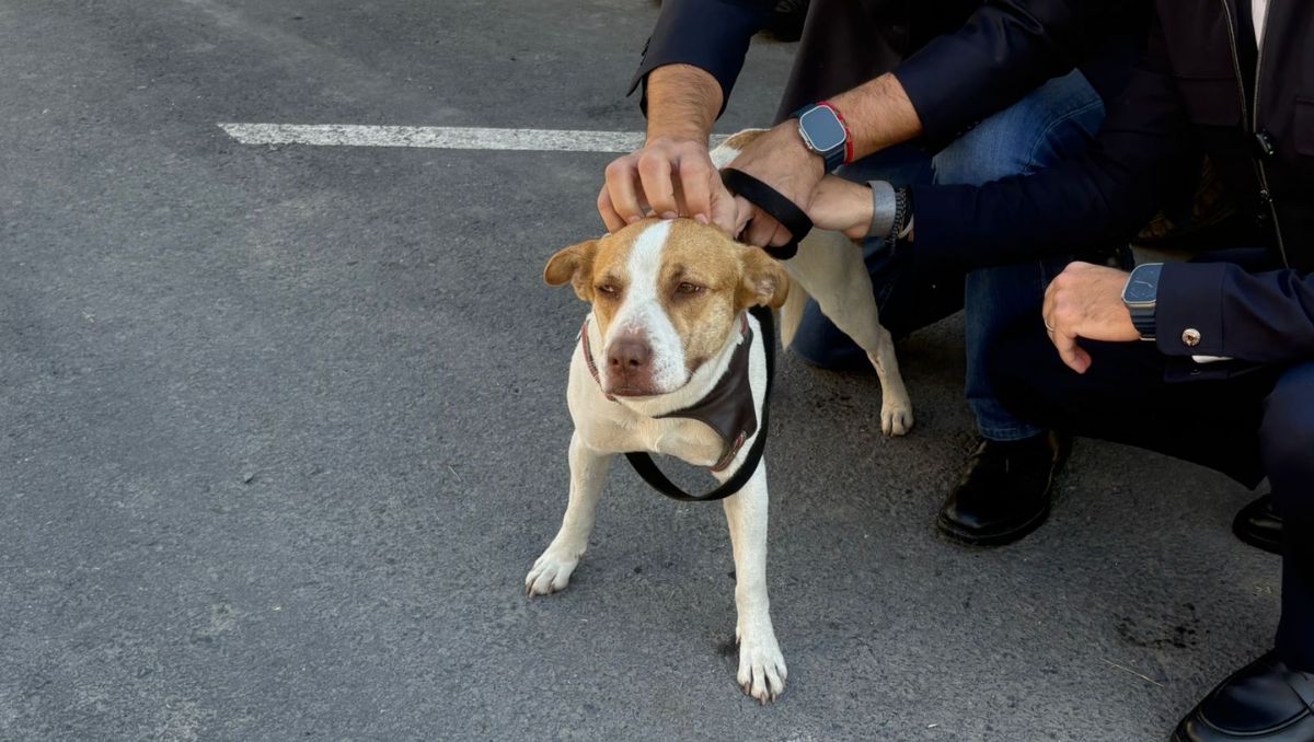 “Runner” llamó la atención tras ser captada en el maratón de 42 kilómetros | Pedro Delgado