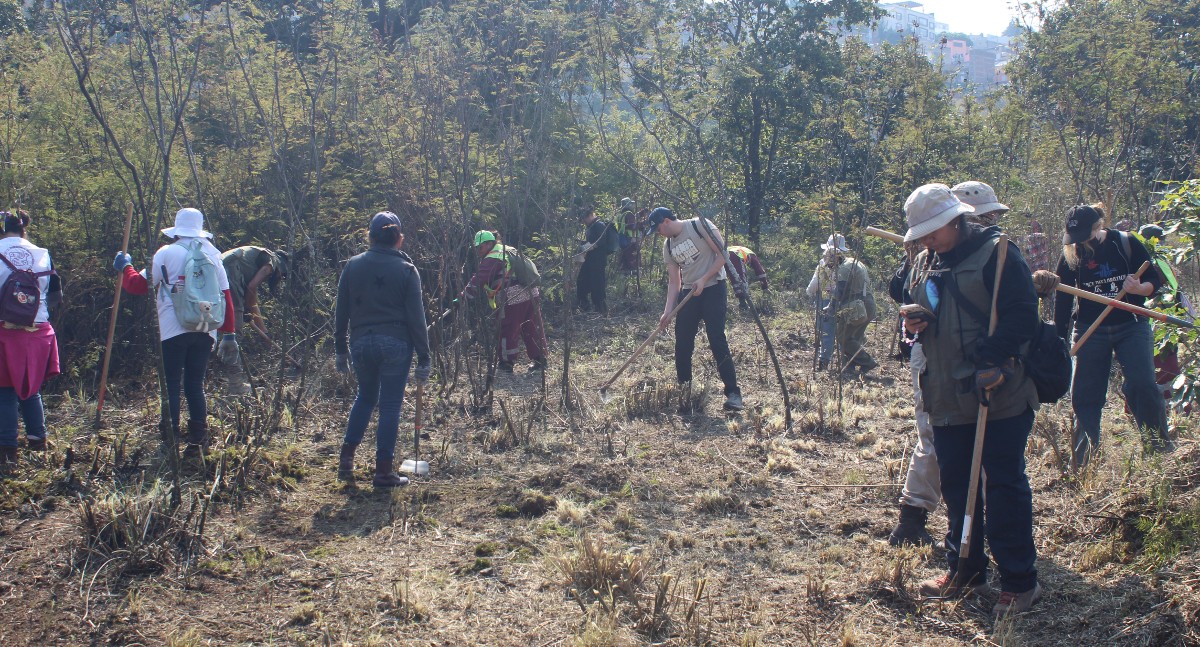Las búsquedas masivas en CdMx continuarán en 2026. | José Luis Medina