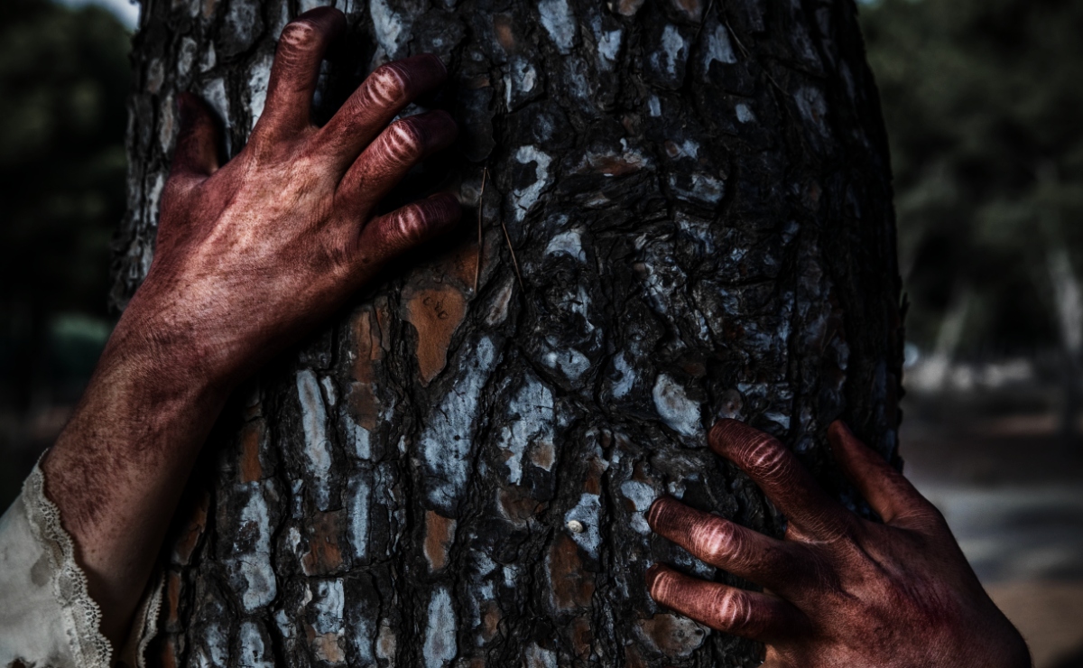 Deja que corra el animal