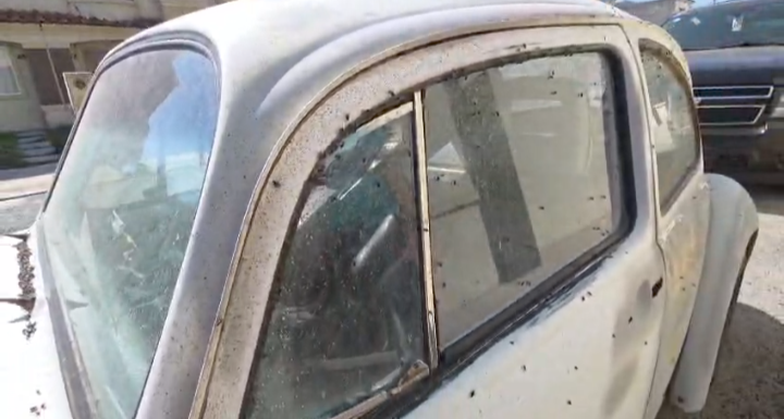 Plaga de moscas en Tizayuca. (Guadalupe Trejo)