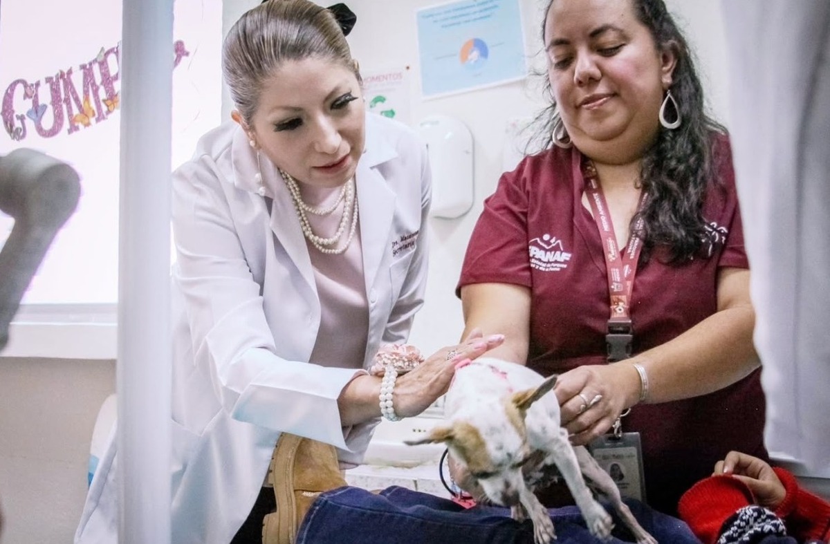 Este proyecto permitirá que niñas y niños derriben sus miedos. (Foto: especial)