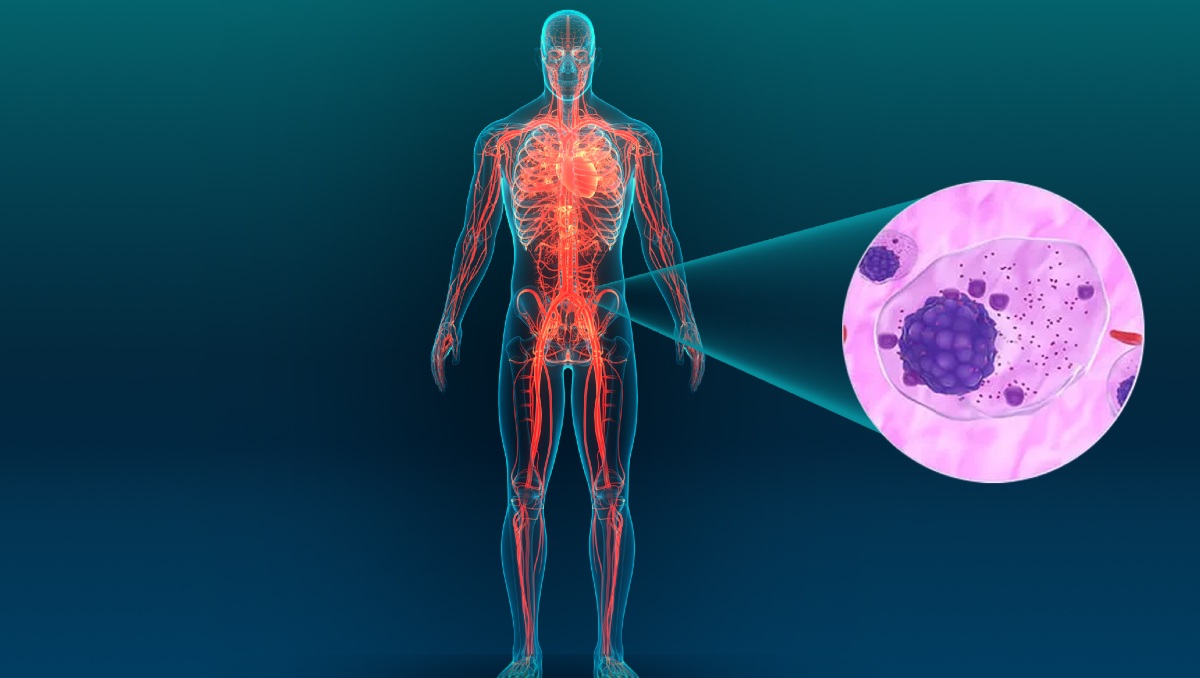 Un avance contra el mieloma múltiple: la proteína LILRB1 y su rol en la supervivencia de las células cancerosas