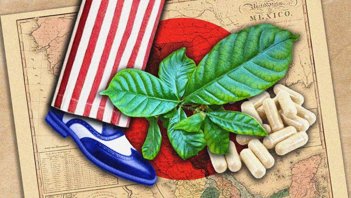 El fentanilo, una de las sustancias más adictivas, mata así a más de 80 mil personas al año en EU | Milenio