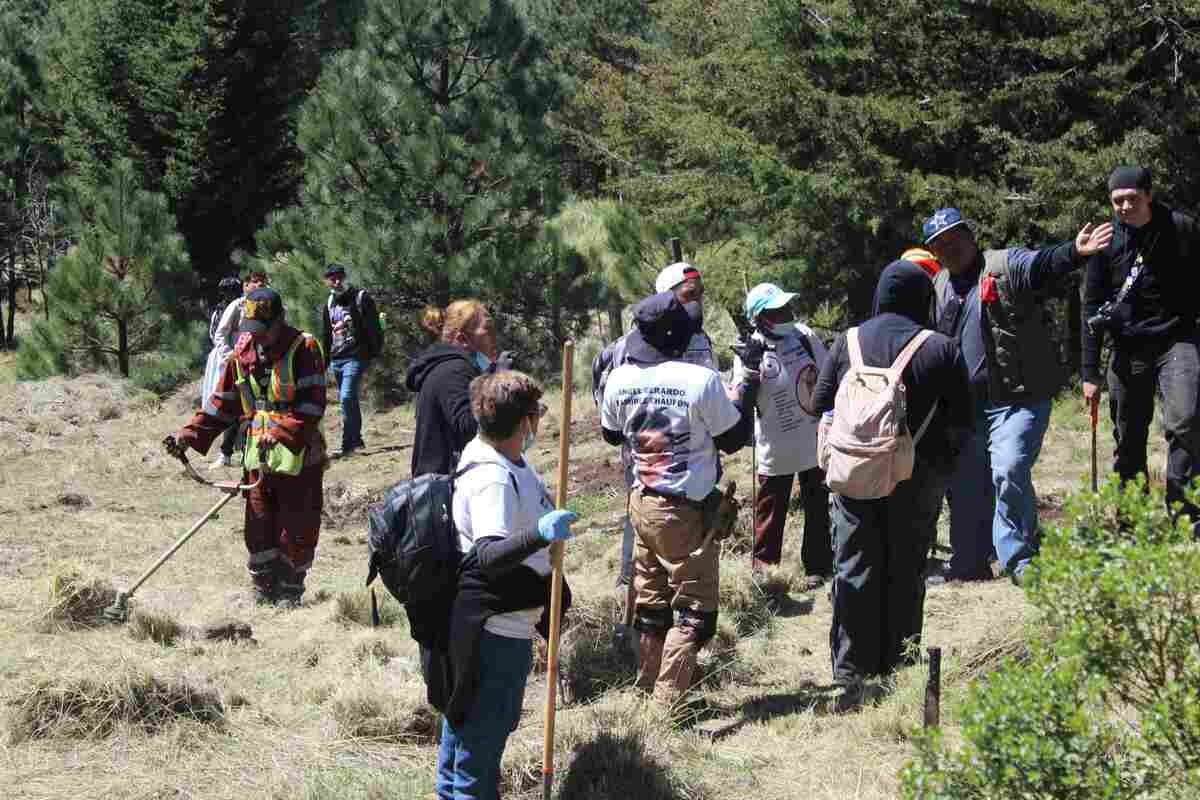 Jornada de búsqueda, una montaña rusa de emociones que te llevan a un mismo lugar... el Ajusco (Fer Rocha)