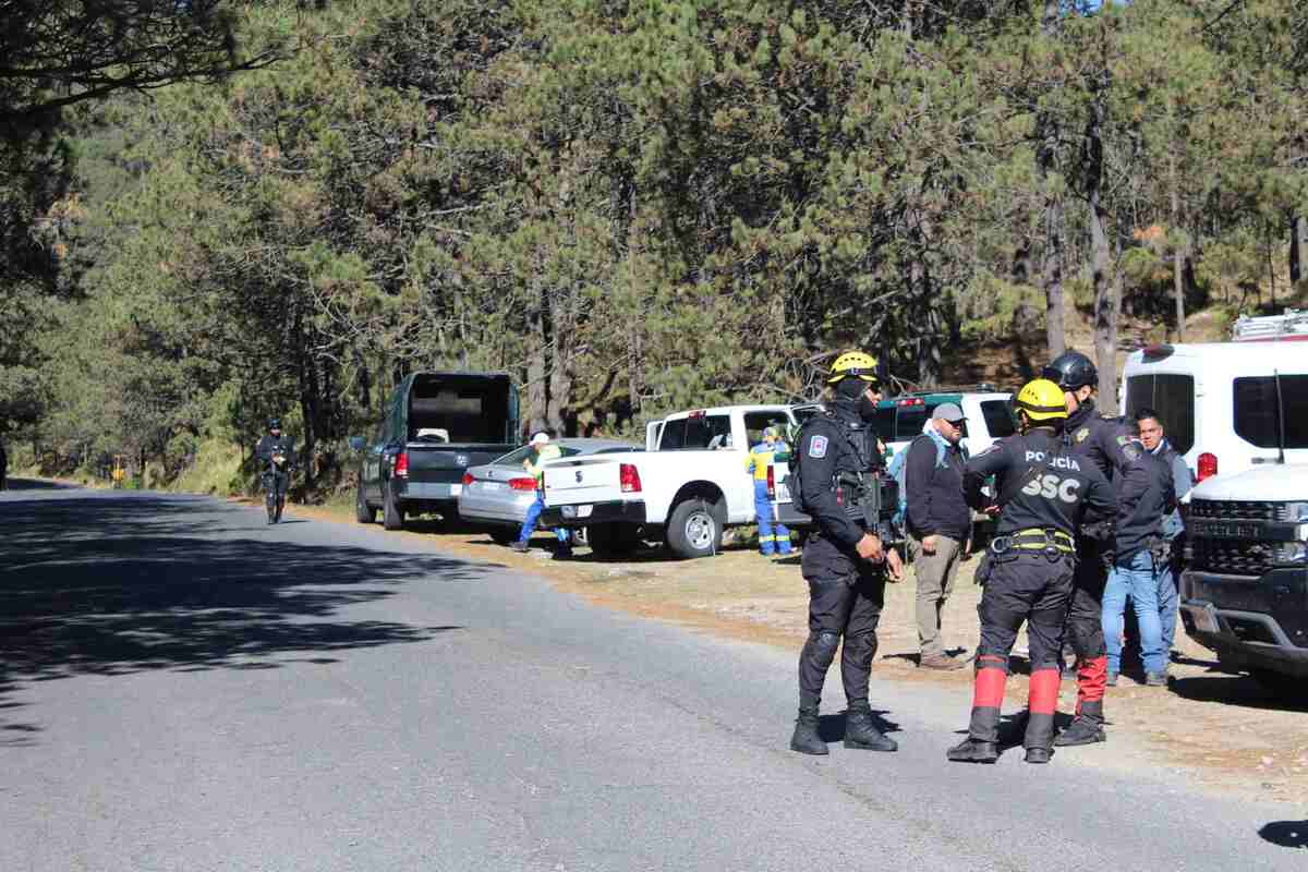 Jornada de búsqueda de marzo