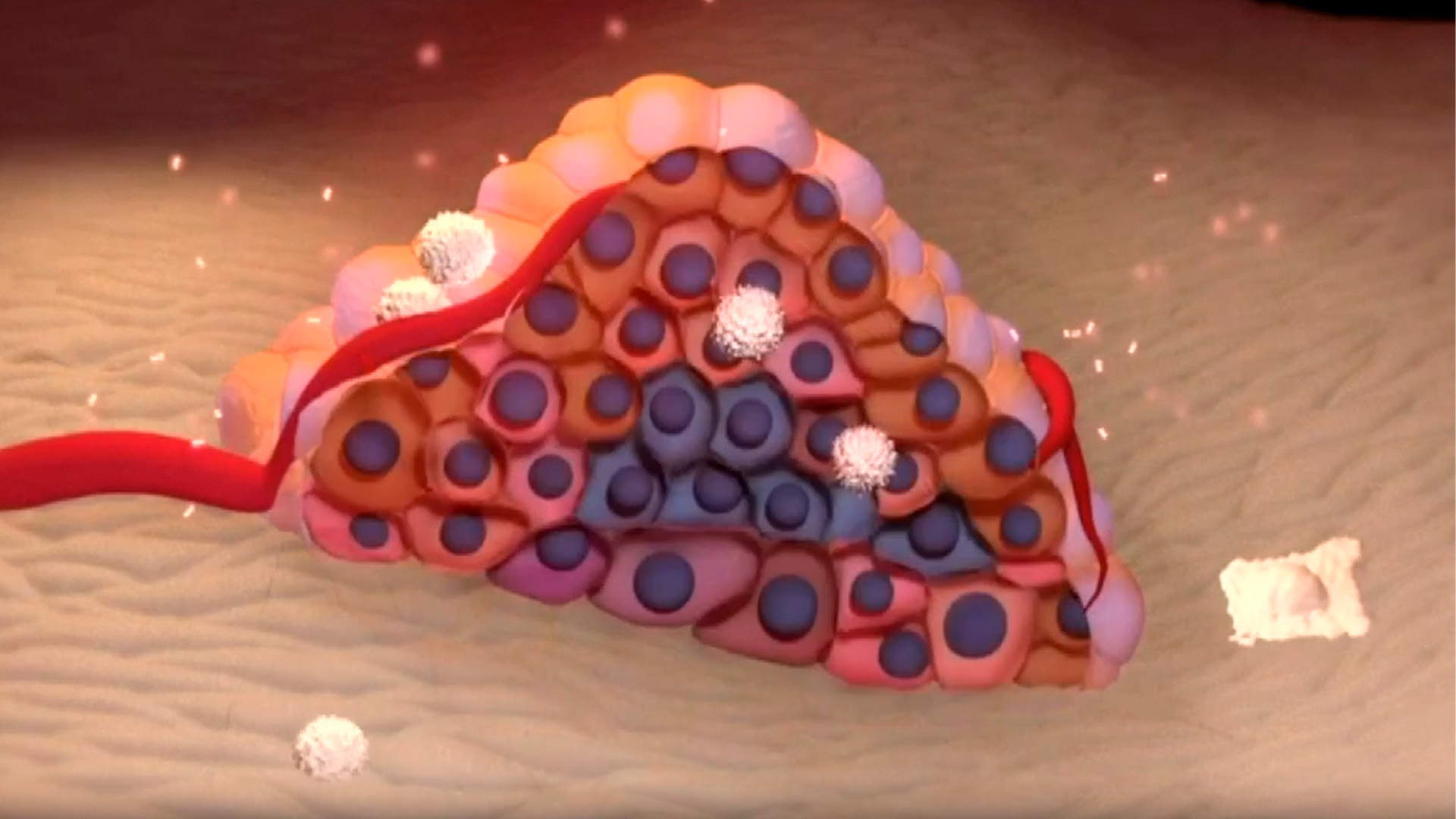 MIT desarrolla tecnología con ARN mensajero para rejuvenecer el sistema inmune