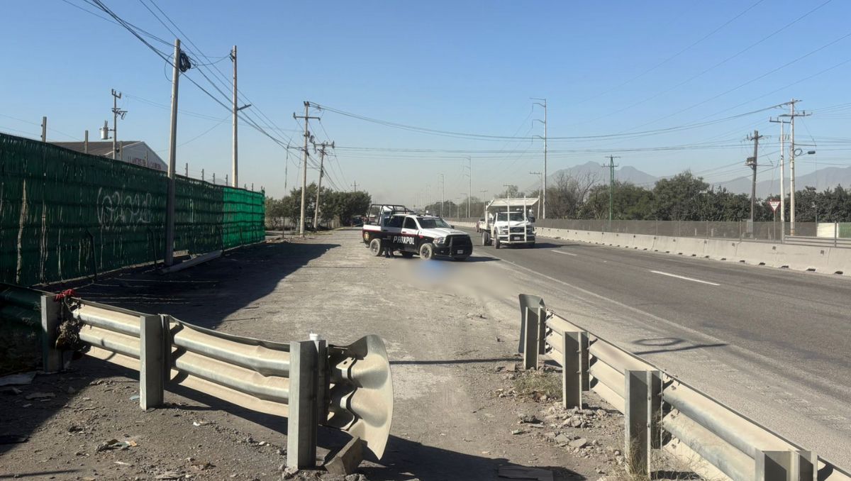 El trágico hecho se reportó a unos 10 metros de un puente peatonal. Pedro Delgado