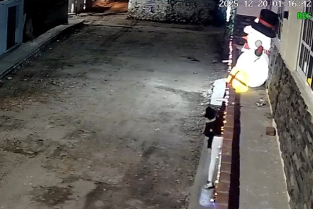 Cámaras de seguridad captaron robos de adornos navideños en viviendas de Tepeji del Río, Hidalgo.