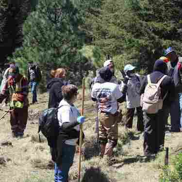 Jornada de búsqueda en el Ajusco de octubre