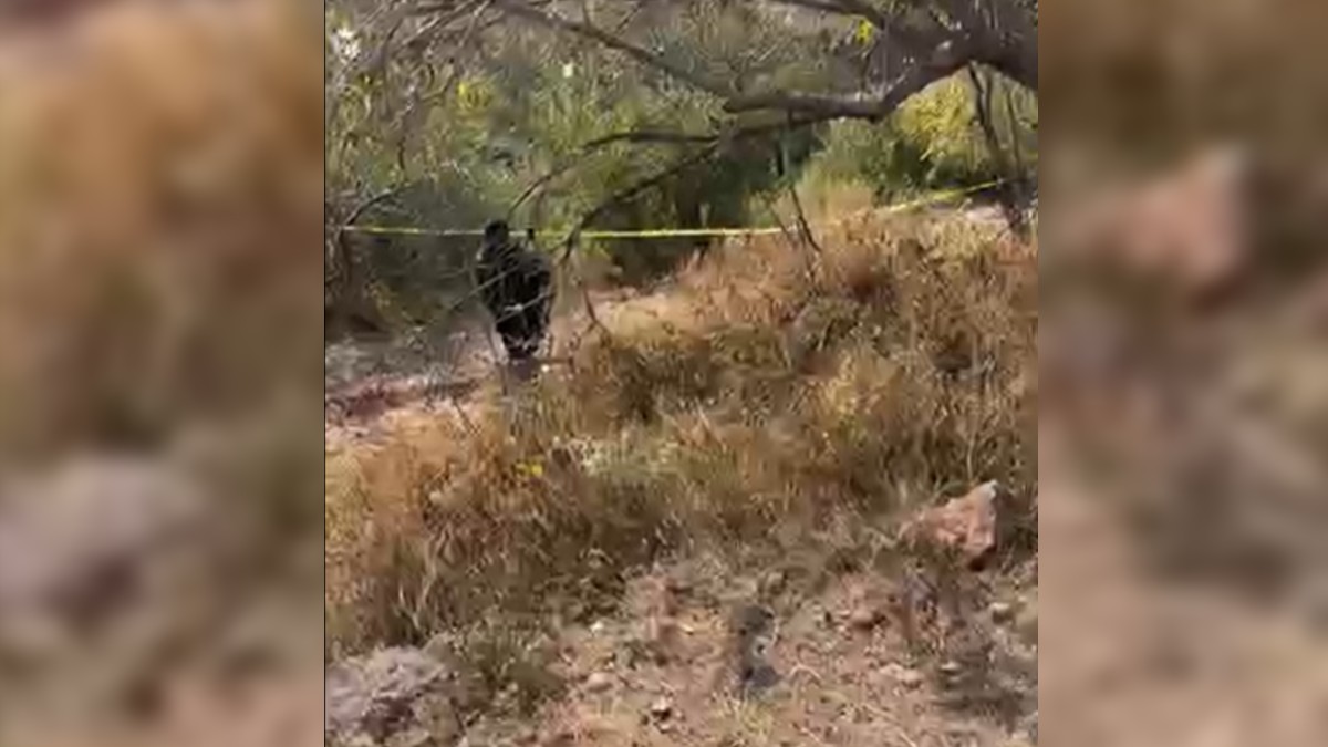 Colectivo 'Hasta Encontrarte' localiza restos humanos.