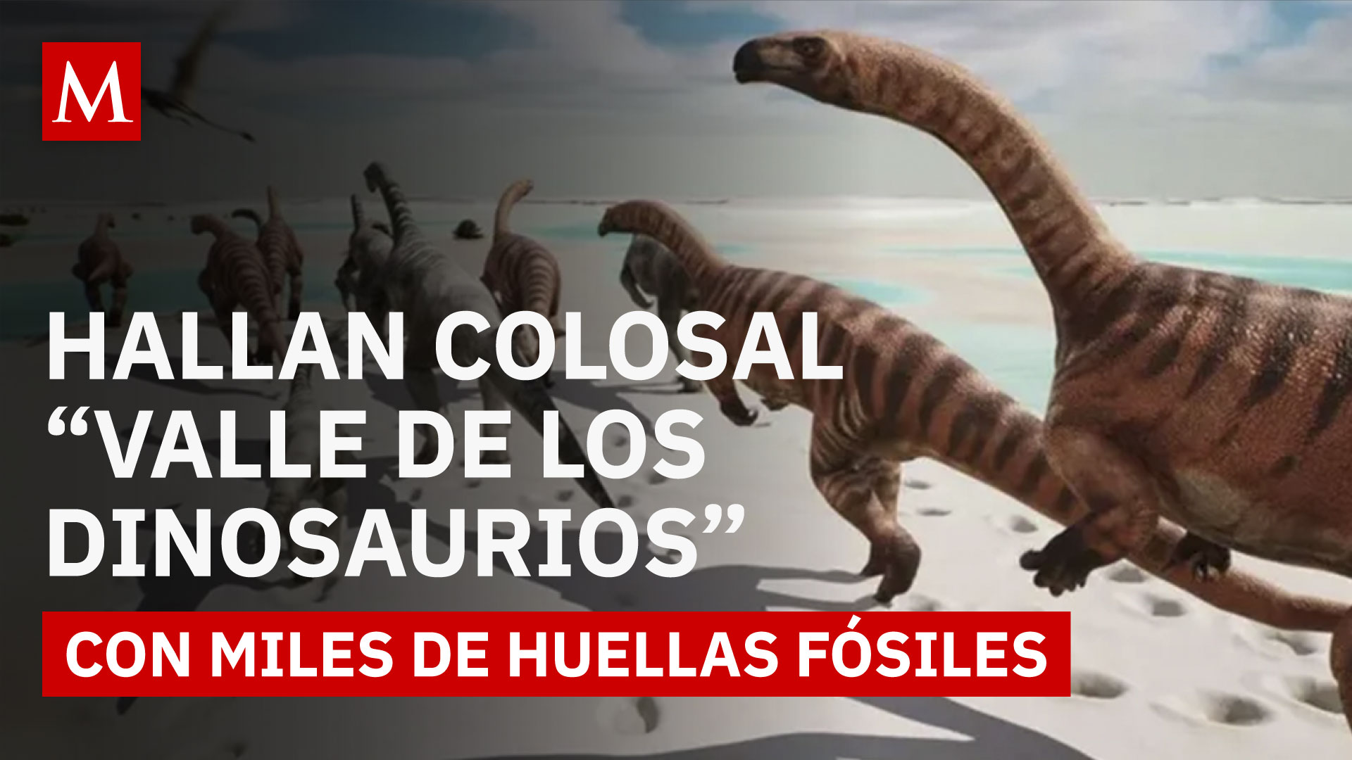 Descubren en Italia una de las huellas de dinosaurios más grandes del mundo