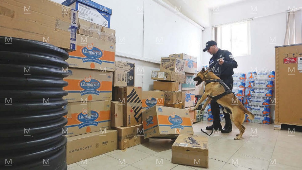 En Guanajuato aumentó 65% el aseguramiento de droga enviada por paquetería. Las FSPE reportan 418 decomisos de marihuana y cristal durante este año.