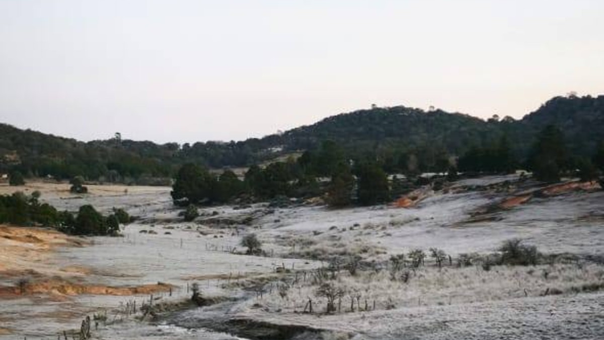 Heladas en Guanajuato. | Coordinación Municipal de Protección Civil Xichú Gto.
