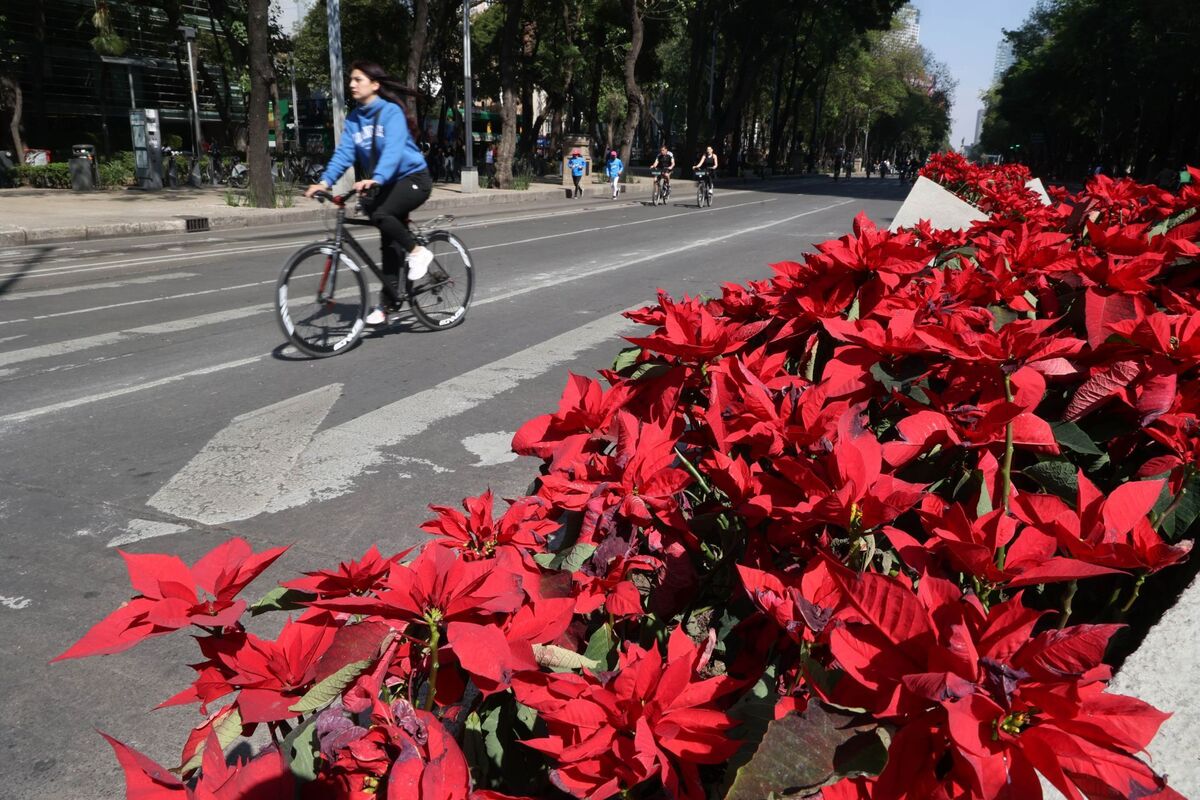 El SMN informó cómo será el clima en la Ciudad de México para Nochebuena. | Cuartoscuro