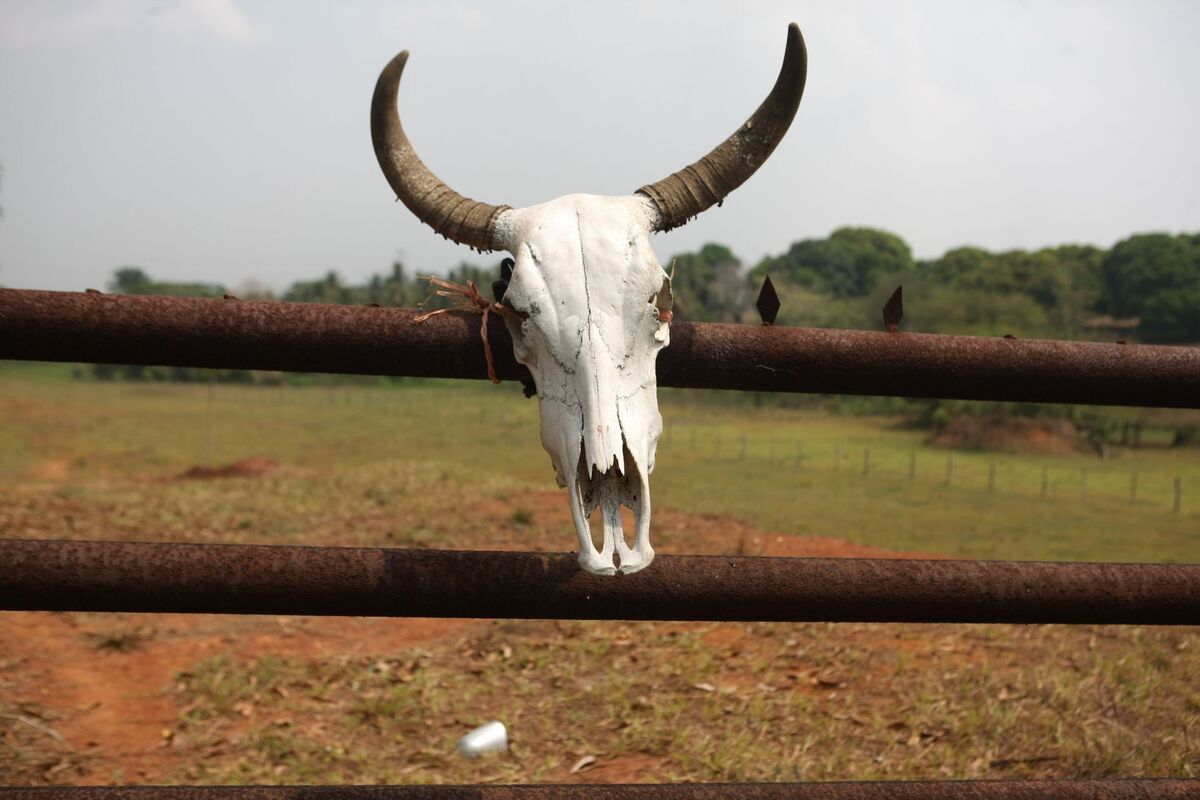 Sequía en México: más del 77% del país está libre del fenómeno; persiste en estos estados