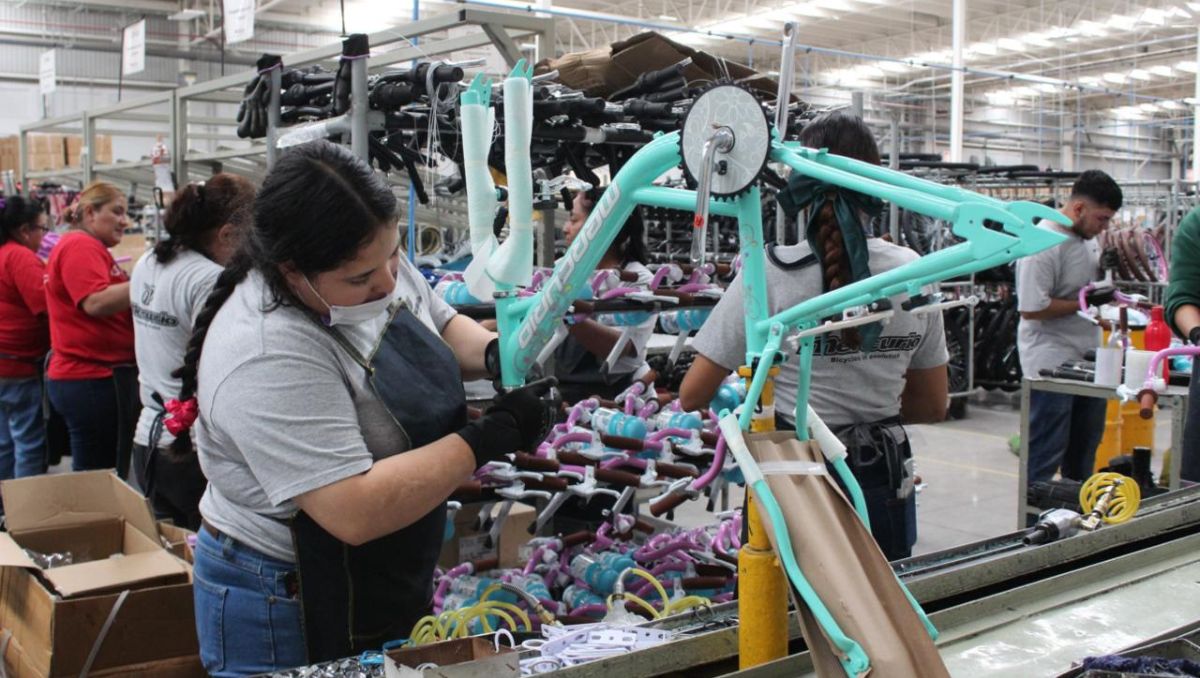 La Anafabi agrupa a las más importantes empresas productoras de bicicletas del país | Especial