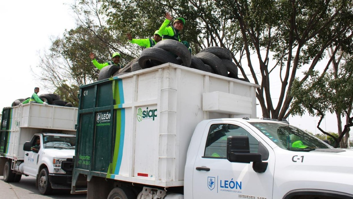 Consulta los horarios de recolección de basura en León durante Navidad.
