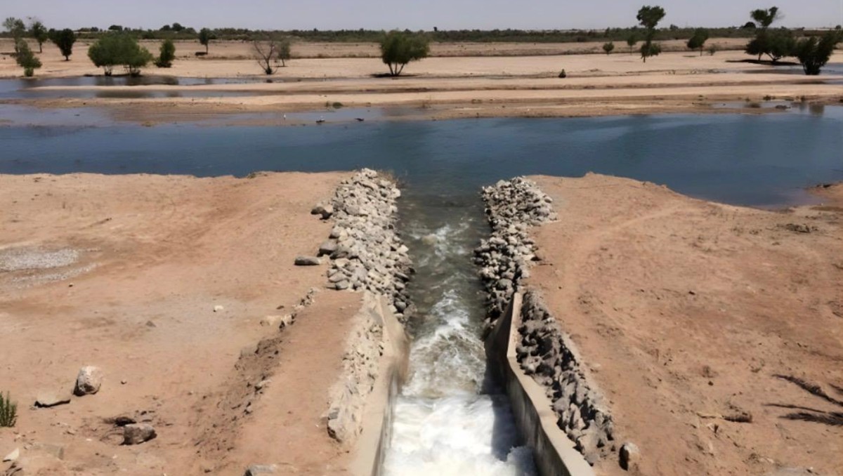 Valle de Mexicali se niega a desaparecer pese a haber sido declarado muerto