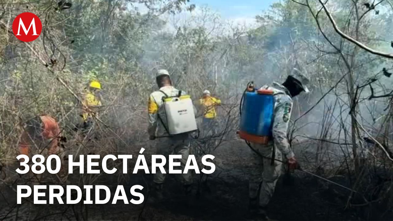En Chiapas, Protección Civil combate incendio de 380 hectáreas; reportan control del 80 por ciento