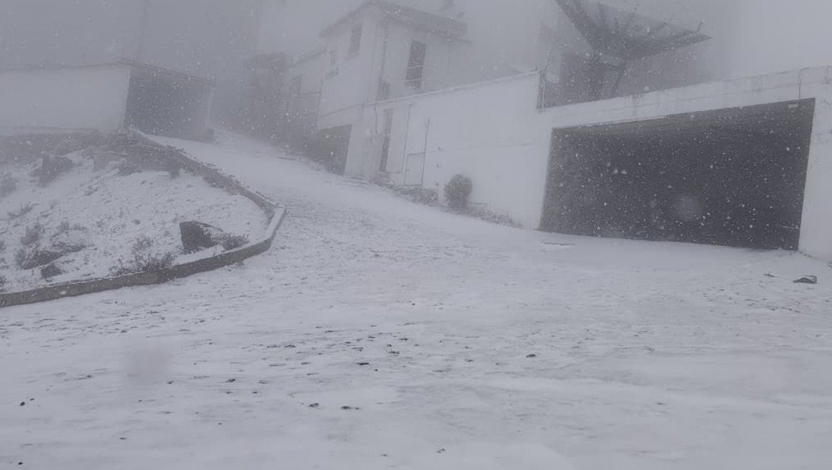 ¡Por primera vez! Cofre del Perote, en Veracruz, amanece cubierto de nieve