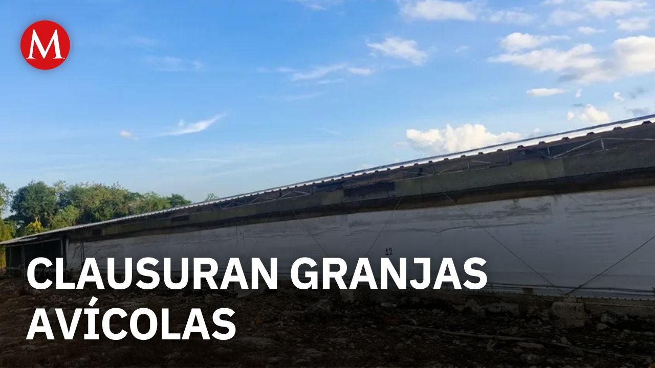 Profepa clausura temporalmente granjas avícolas en Kanasín, Yucatán