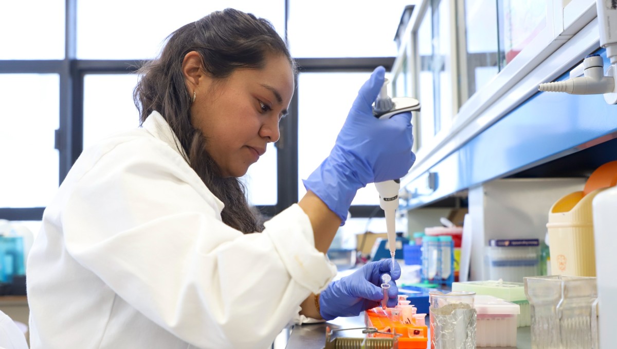 UAQ analiza potencial del garambullo como elemento de prevención del cáncer de colon