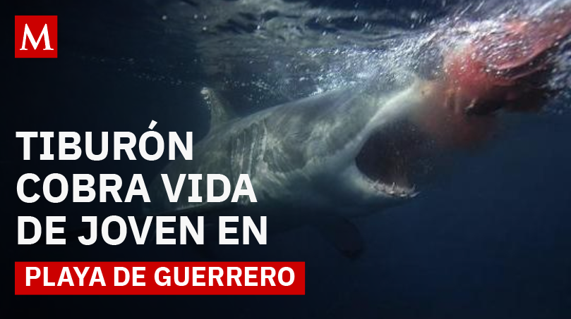 Adolescente de 17 años muere tras presunto ataque de tiburón en la playa