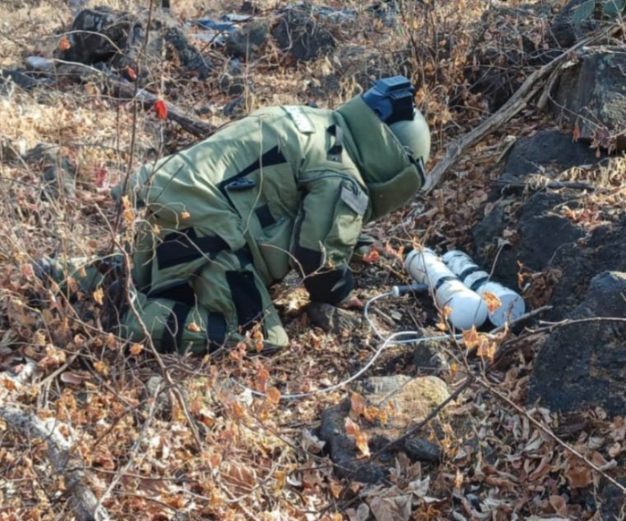 Desactivan 12 artefactos explosivos y desmantela campamento ilícito en Michoacán