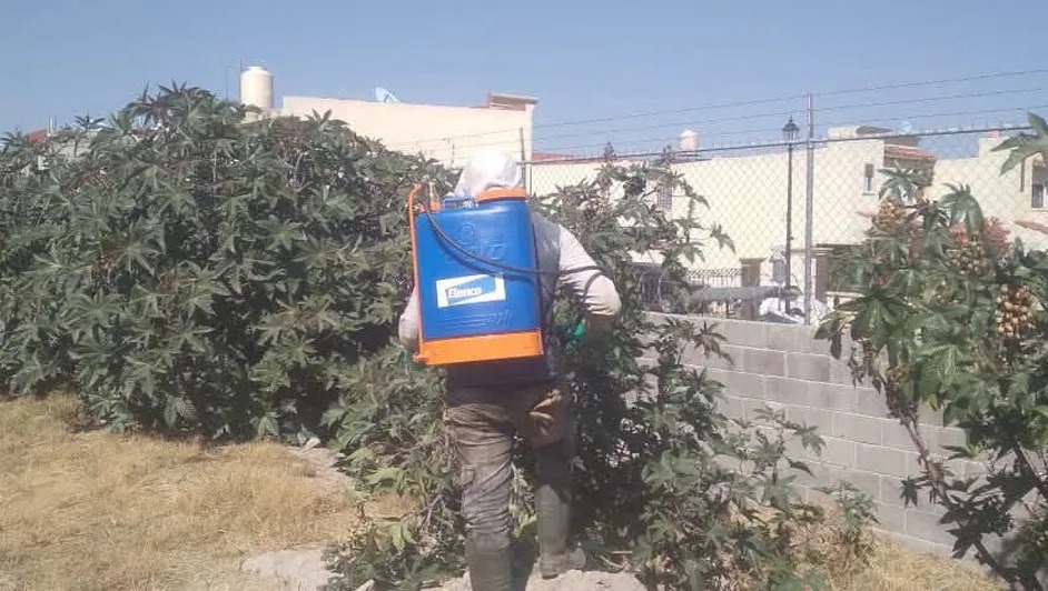 Con clausuras parciales y fumigación buscan frenar plaga de moscas en Tizayuca