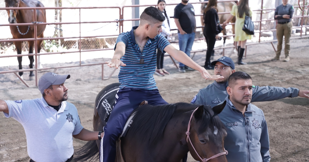 El Escuadrón Artemisa brinda apoyo a 48 usuarios con la equinoterapia (Foto: Cortesía)