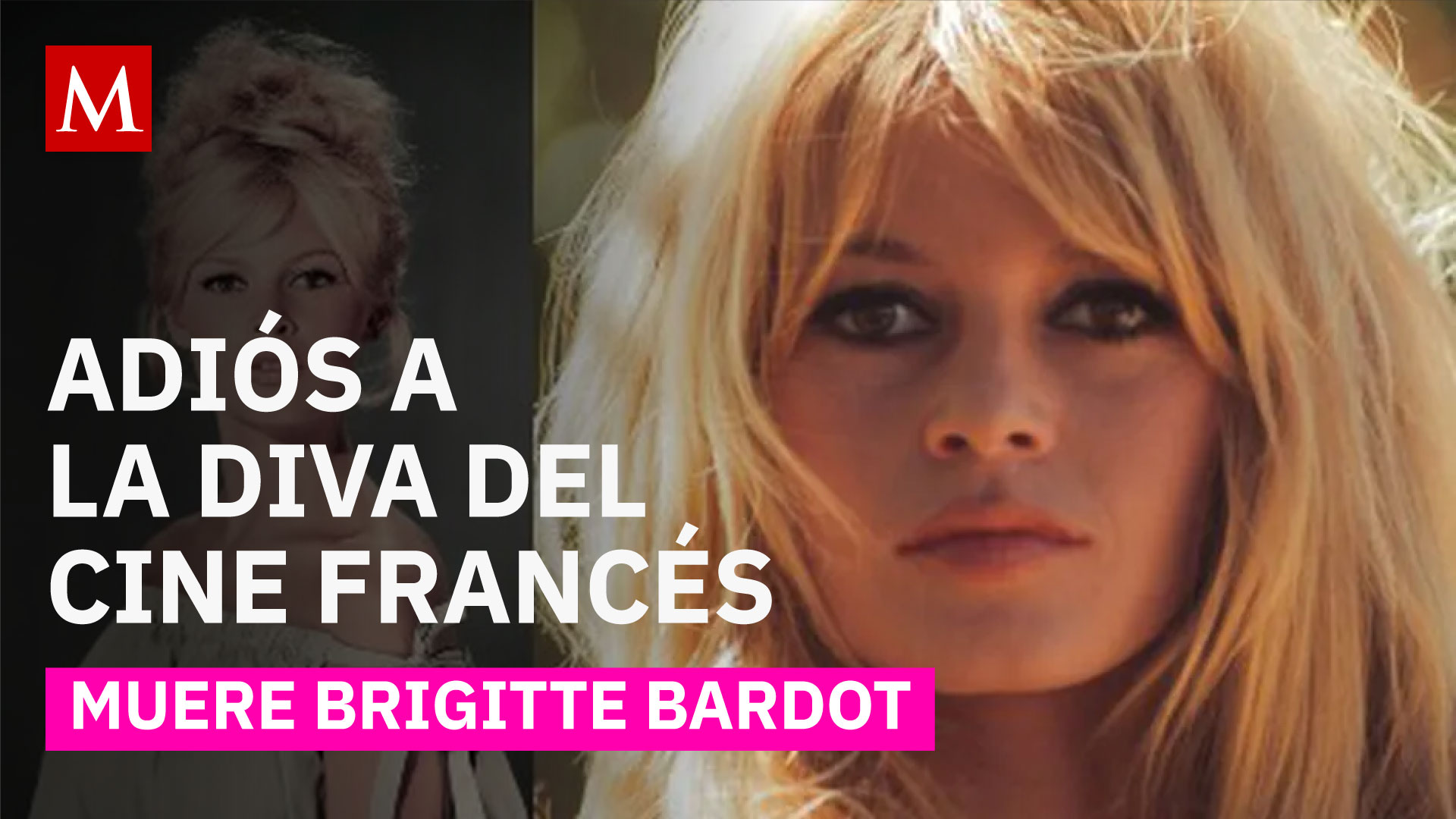 Fallece Brigitte Bardot: símbolo de la liberación femenina y estrella global