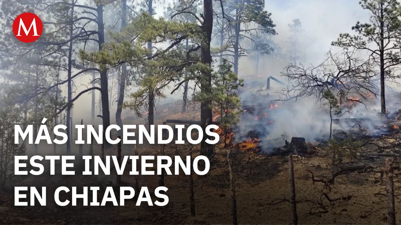 Incendios forestales en Chiapas aumentan pese a la temporada invernal