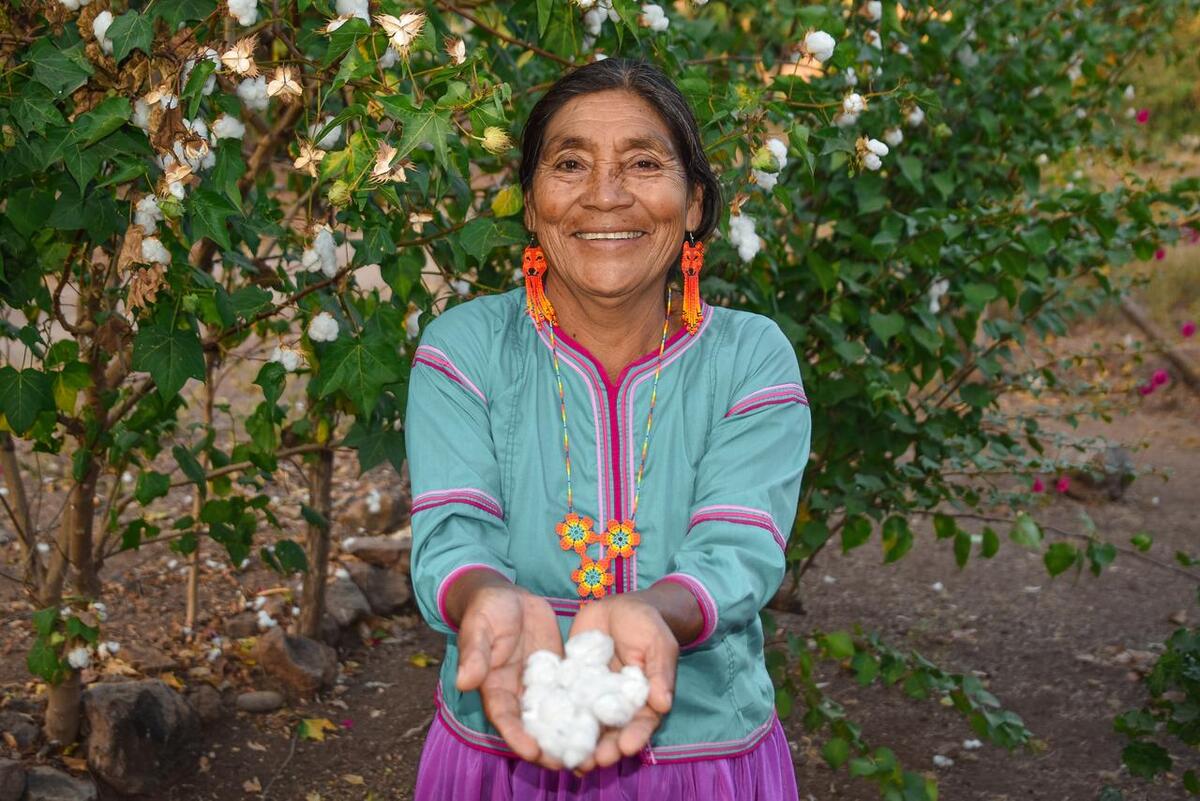 Ariadna Montiel informa que 3 millones de mexicanas ya reciben la Pensión Mujeres Bienestar