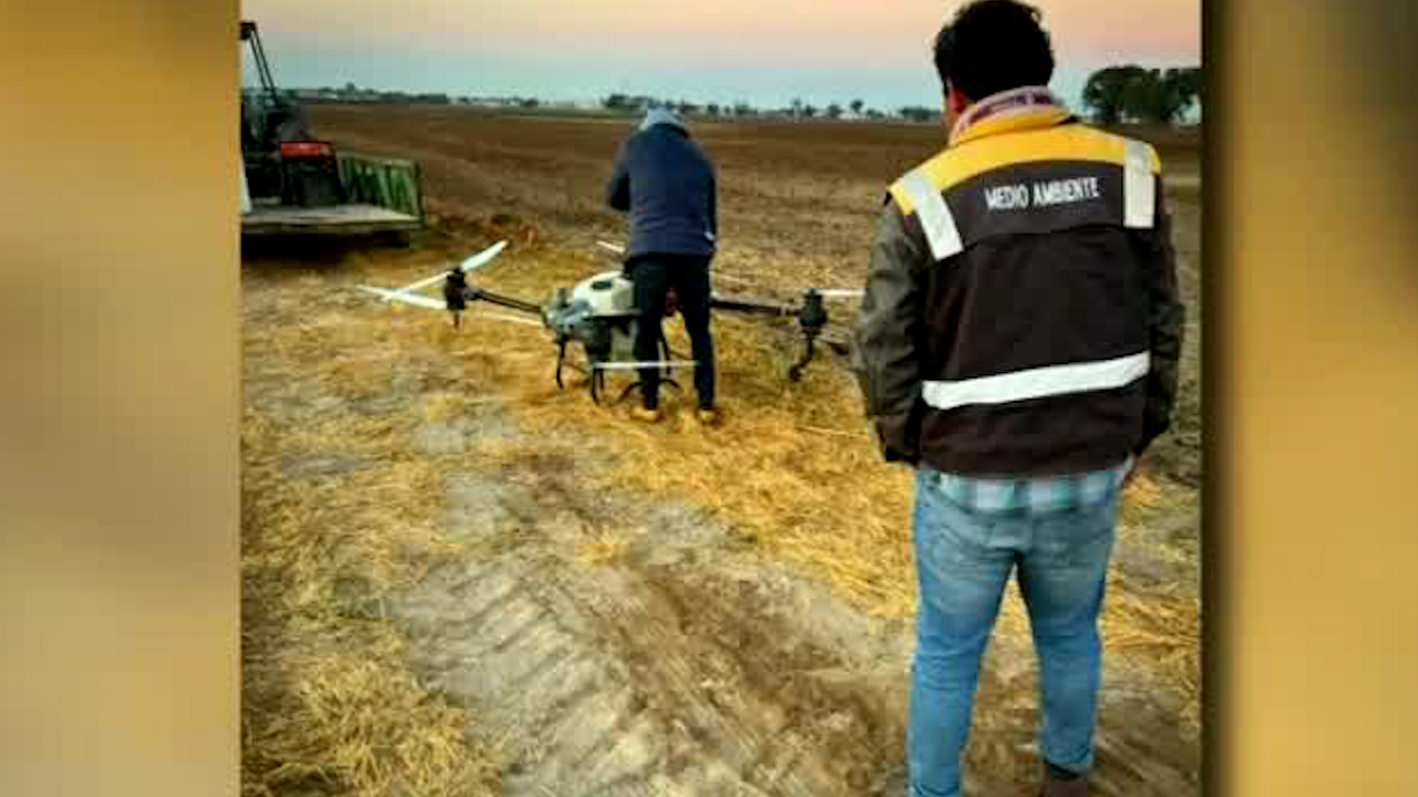 Atacan plaga de mosca en Tizayuca, Hidalgo