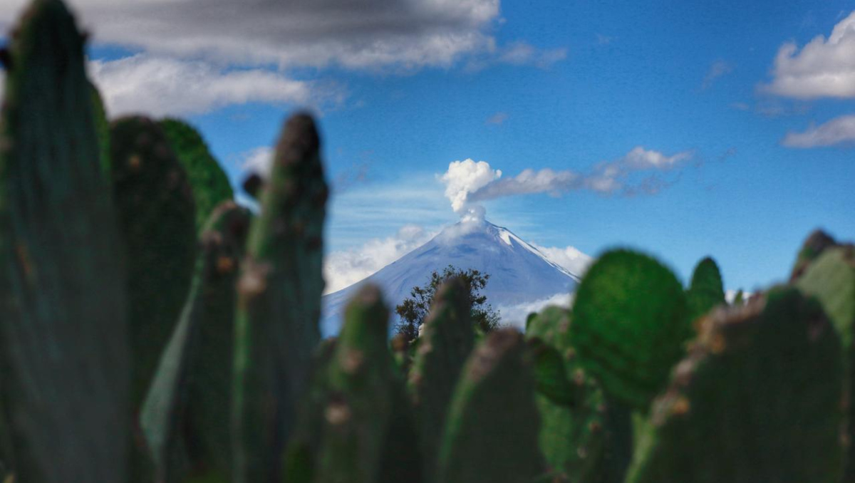 Popocatépetl HOY: Actividad registrada 30 de diciembre 2025 | EN VIVO | Andrés Lobato
