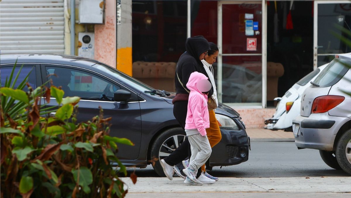Bajas temperaturas en La Laguna. | Rolando Riestra