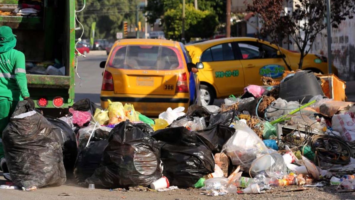 Buscan frenar la proliferación de focos de infección y proteger la salud pública de los laguneros. | Especial