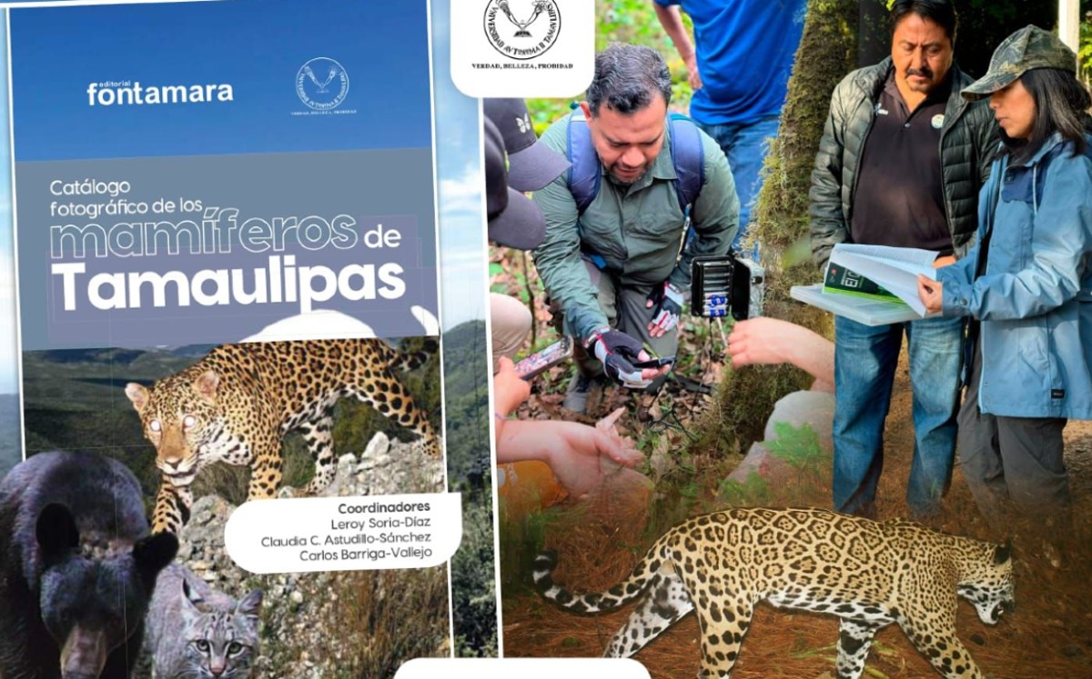 La publicación describe a mamíferos del estado. | ESPECIAL