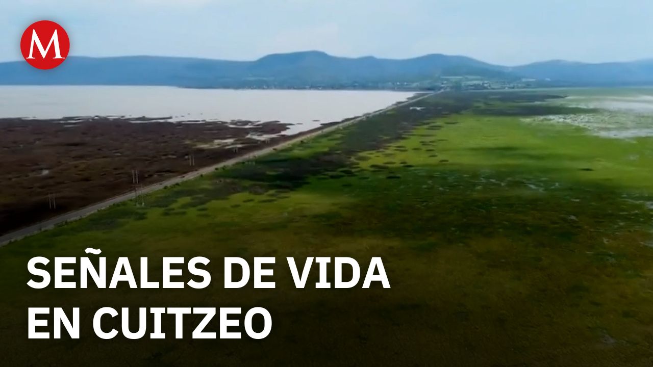 El lago de Cuitzeo muestra signos de recuperación tras la sequía en Michoacán