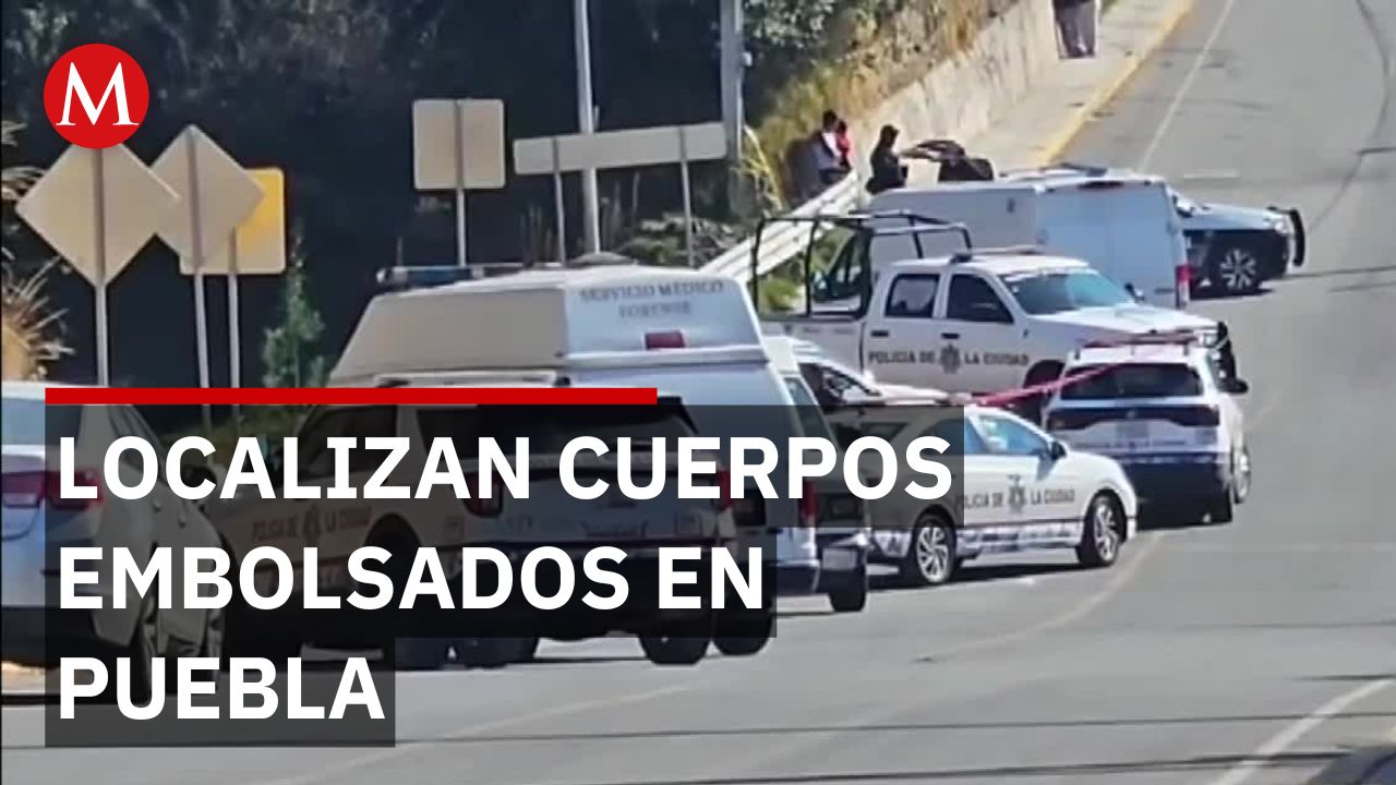 En Puebla, encuentran cinco bolsas llenas de restos humanos