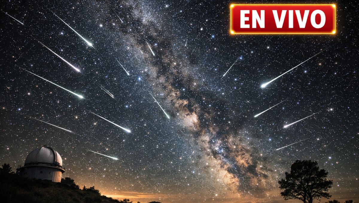 Lluvia de estrellas de enero 2026 | IA DISCOVER