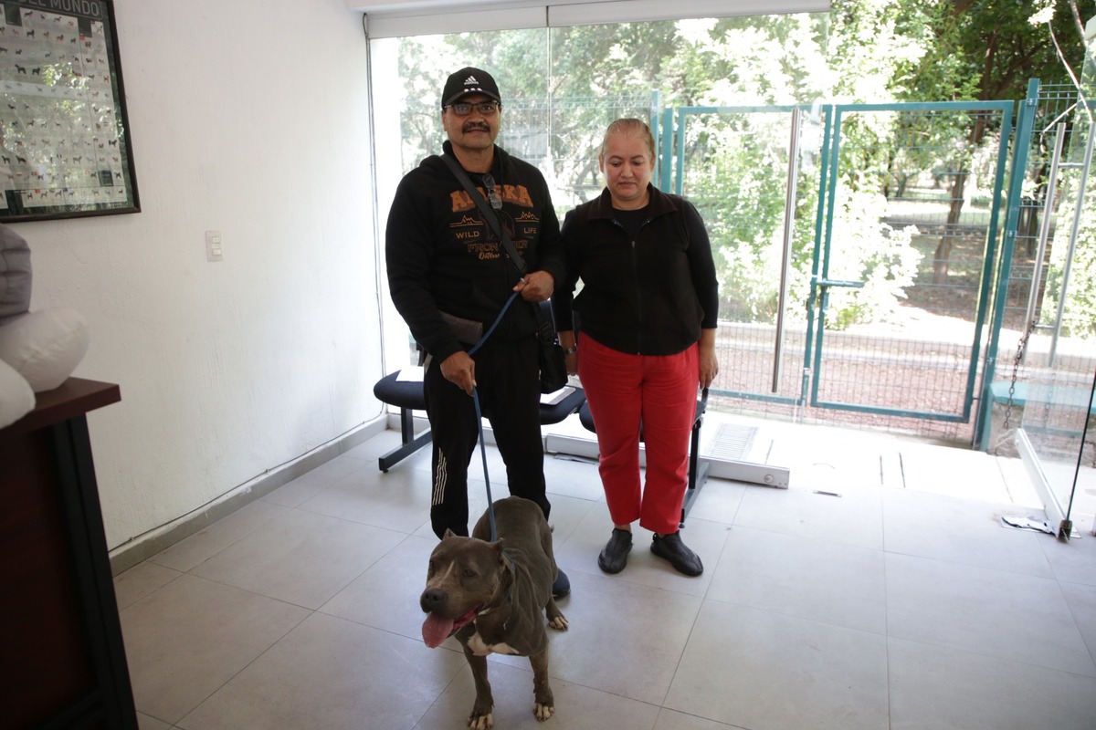 Más perritos han sido adoptados en Guadalajara. (Cortesía)