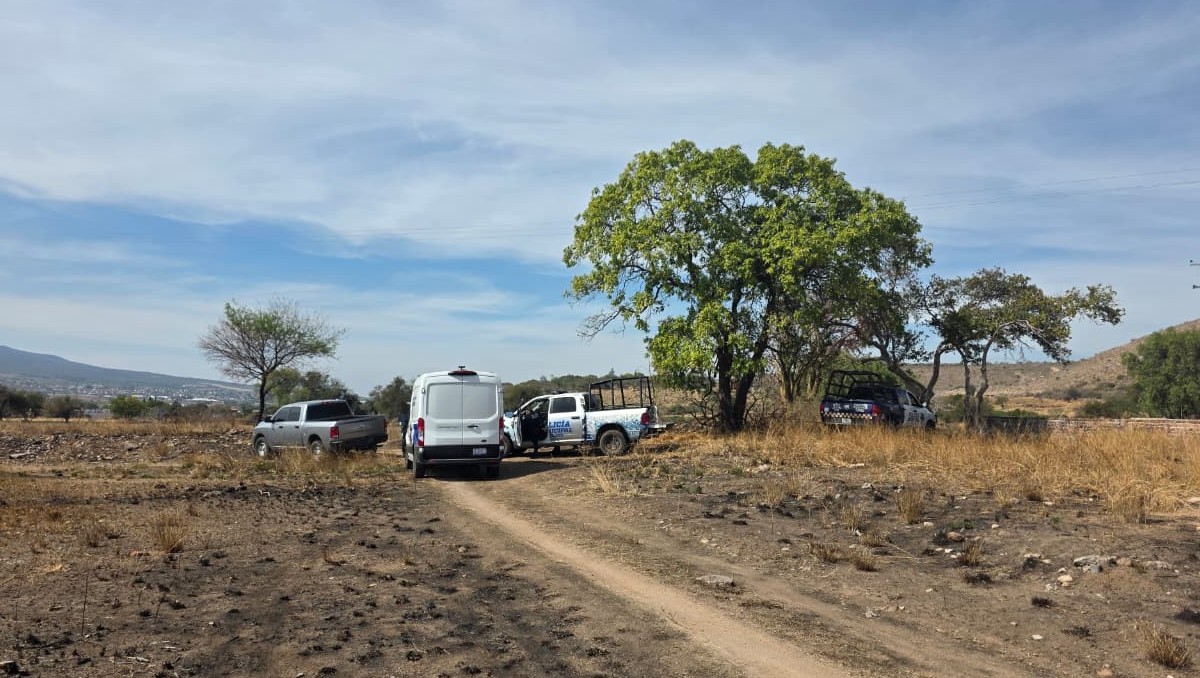 El colectivo Hasta Encontrarte localizó los cuerpos de una mujer y tres hombres en el cerro de Tamahula.
