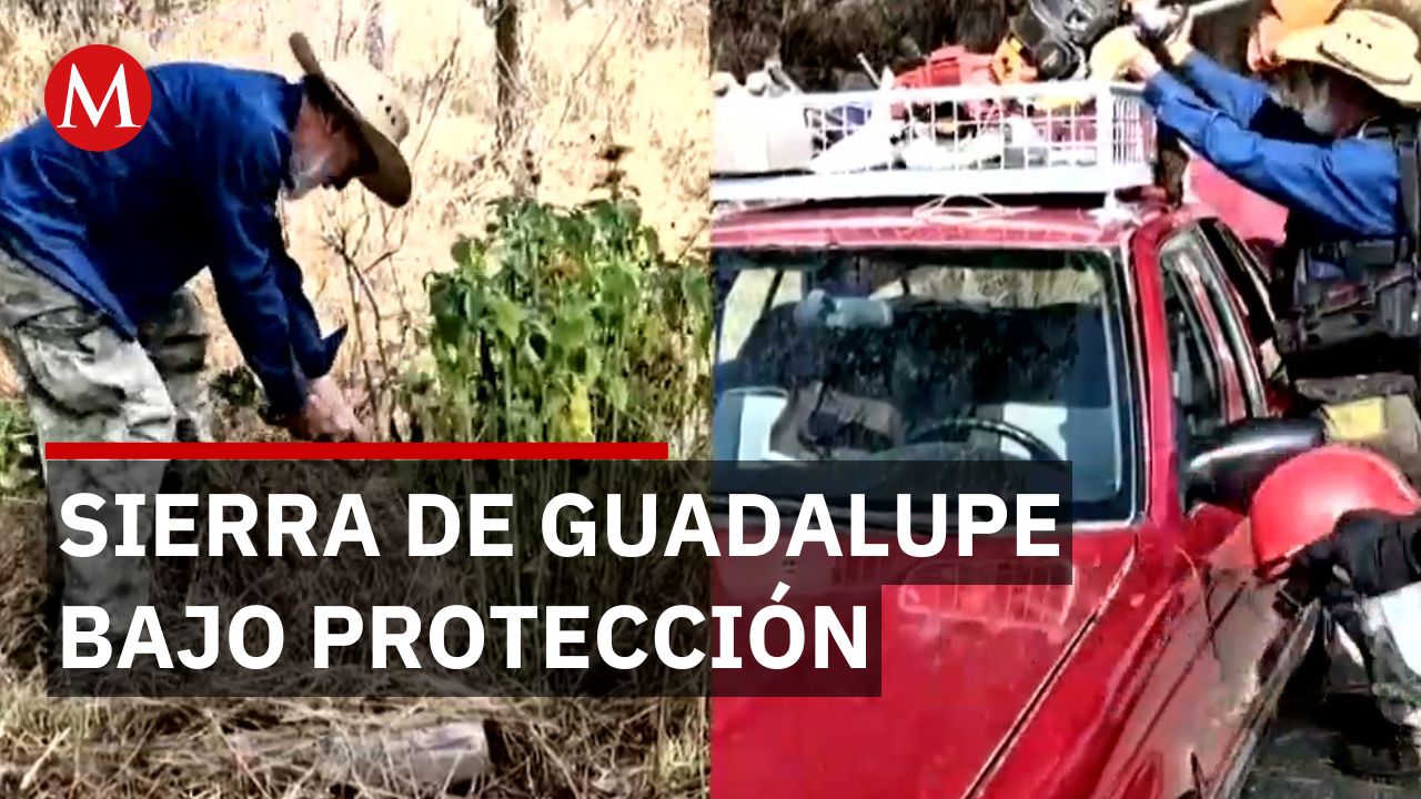 Colectivo Vereda Sierra de Guadalupe protege área natural en Coacalco