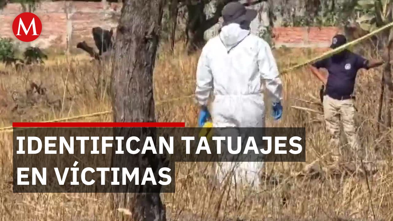 Localizan cuatro cuerpos en fosas clandestinas de Irapuato tras reporte anónimo a colectivos