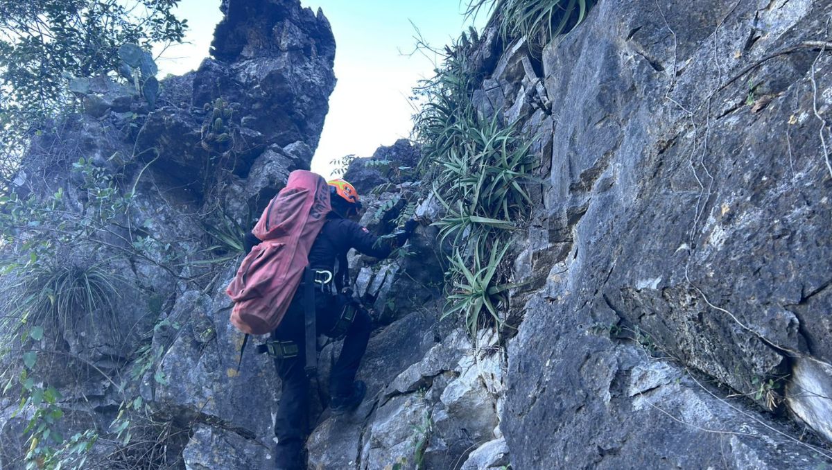 Los elementos especializados trabajan en la zona | Especial