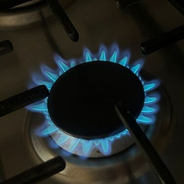 En MILENIO te decimos cuánto costará en cada municipio.