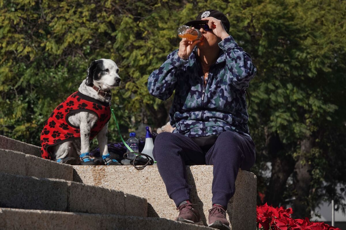 Las temperaturas alcanzarán máximas de 24 grados en el Valle de México. Foto: (Cuartoscuro)