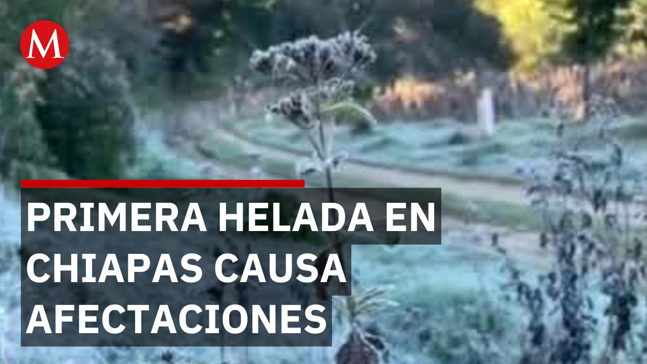 En Chiapas, se registra la primera helada del 2026